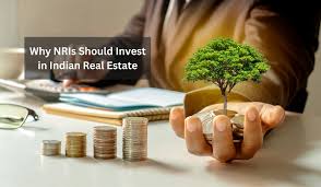 Top 5 Reasons NRIs Are Investing in Plots Instead of Flats in 2025